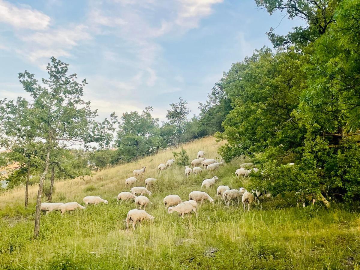 Histoire De Cru Panzió Saignon Kültér fotó